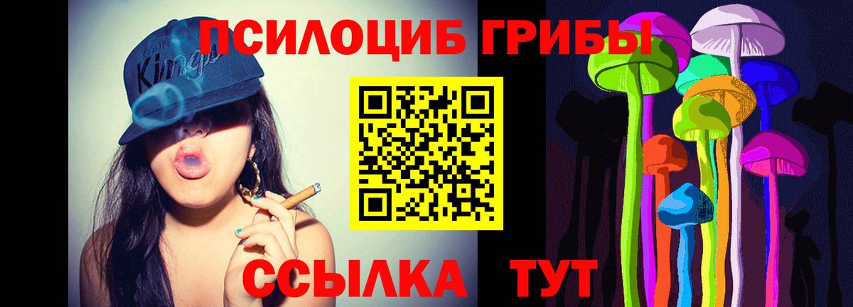 Галлюциногенные грибы Magic Shrooms  Вход с VPN  Тимашёвск  Галлюциногенные грибы Psilocybe 